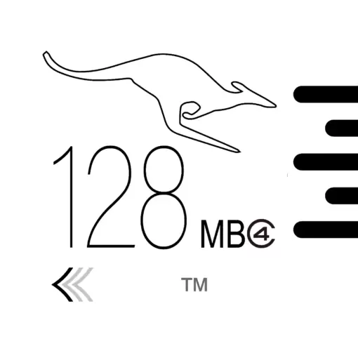 NeoEdge 128MB Micro SD TF Memorycard